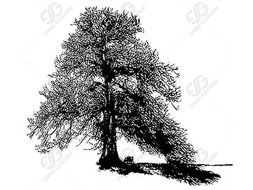 landscape-sculpture-gn-ss-201-realistic-tree-design