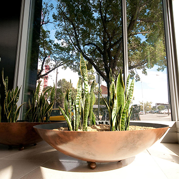 use as a planter