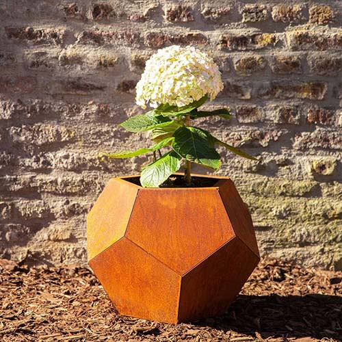 corten-steel-pots-gn-pr-1220-pentagonal-flower-box